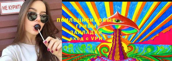 соль ск Нея
